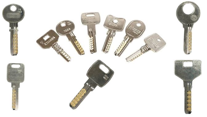 ¿Qué bombines son vulnerables al bumping?